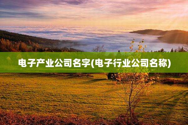 电子产业公司名字(电子行业公司名称)