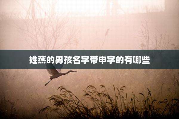 姓燕的男孩名字带申字的有哪些