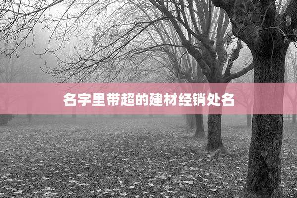 名字里带超的建材经销处名