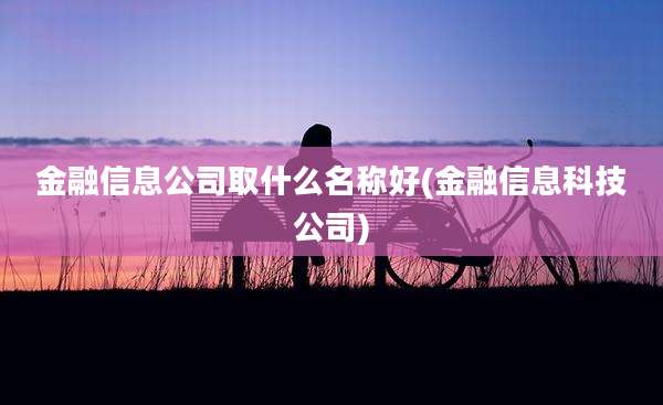 金融信息公司取什么名称好(金融信息科技公司)