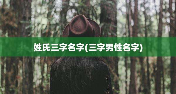 姓氏三字名字(三字男性名字)