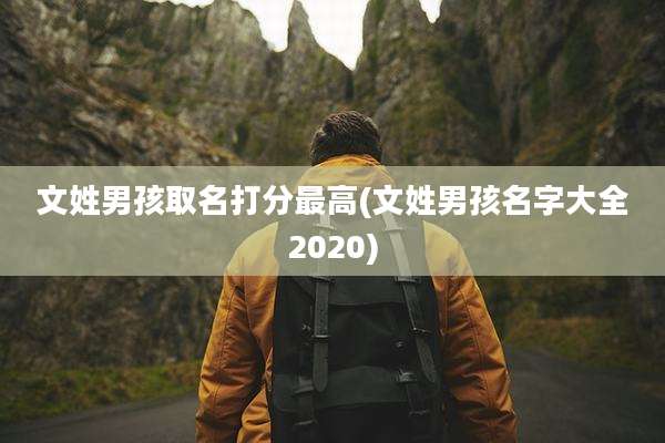 文姓男孩取名打分最高(文姓男孩名字大全2020)