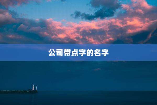公司带点字的名字