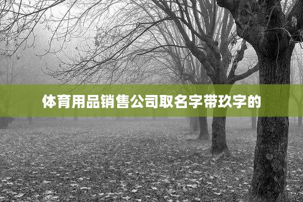 体育用品销售公司取名字带玖字的