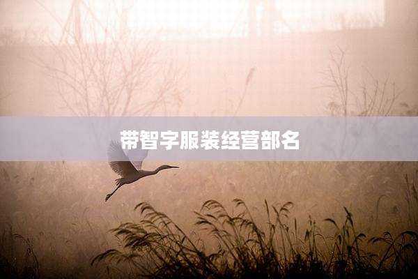 带智字服装经营部名