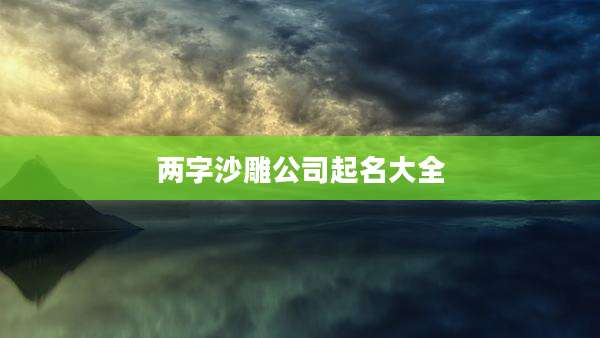 两字沙雕公司起名大全