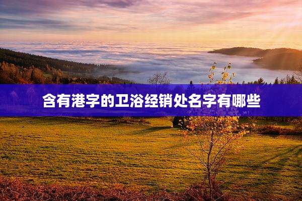 含有港字的卫浴经销处名字有哪些