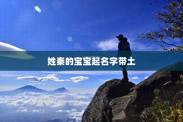 姓秦的宝宝起名字带土