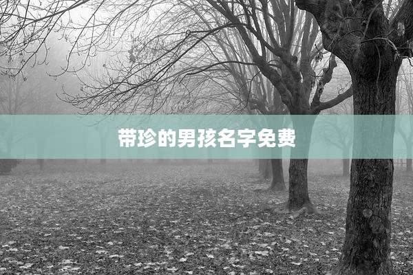 带珍的男孩名字免费