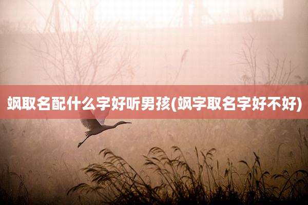 飒取名配什么字好听男孩(飒字取名字好不好)