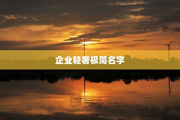 企业轻奢极简名字