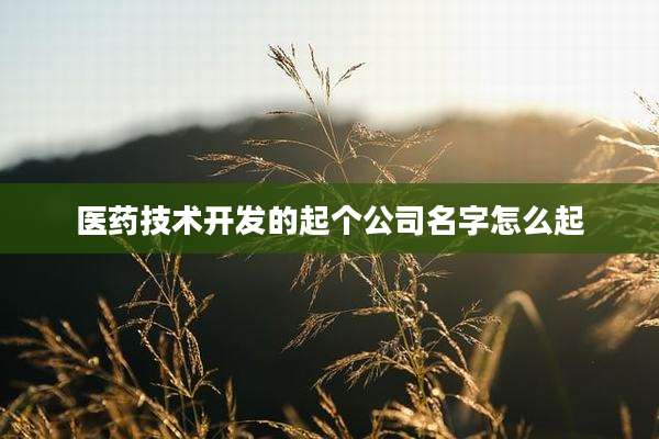 医药技术开发的起个公司名字怎么起