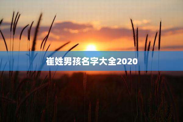 崔姓男孩名字大全2020