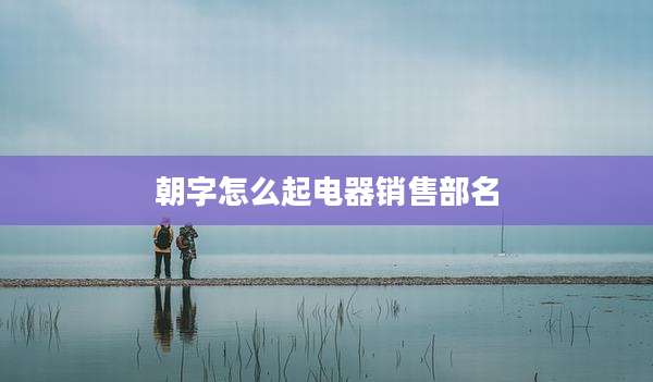 朝字怎么起电器销售部名