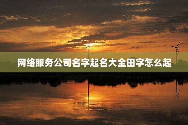 网络服务公司名字起名大全田字怎么起