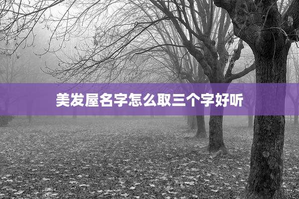 美发屋名字怎么取三个字好听