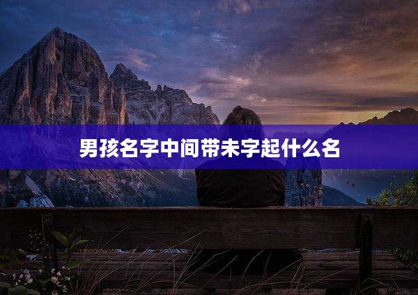 男孩名字中间带未字起什么名