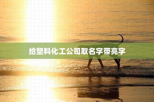 给塑料化工公司取名字带亮字