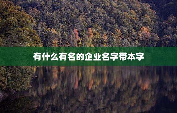 有什么有名的企业名字带本字