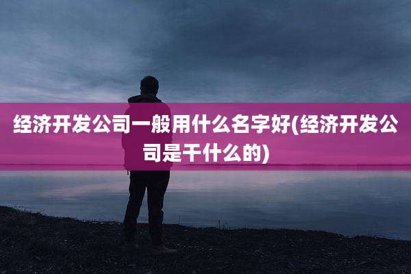 经济开发公司一般用什么名字好(经济开发公司是干什么的)