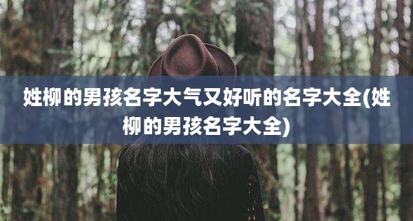姓柳的男孩名字大气又好听的名字大全(姓柳的男孩名字大全)