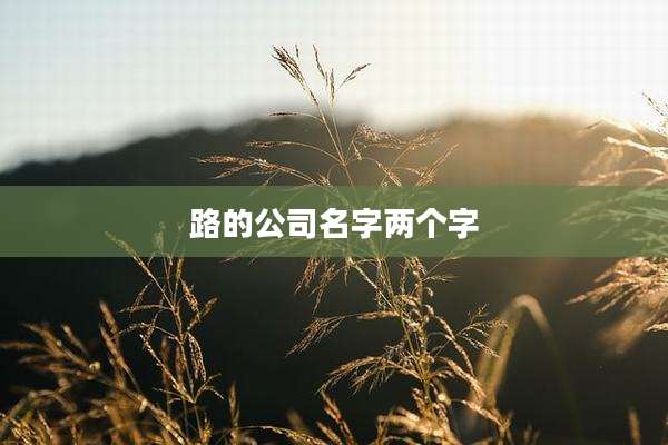 路的公司名字两个字