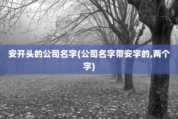 安开头的公司名字(公司名字带安字的,两个字)