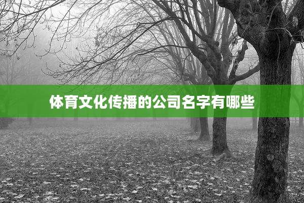 体育文化传播的公司名字有哪些