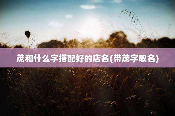 茂和什么字搭配好的店名(带茂字取名)
