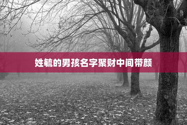姓毓的男孩名字聚财中间带颜
