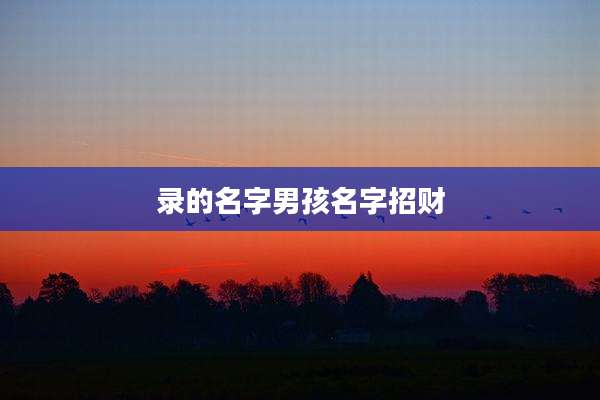 录的名字男孩名字招财