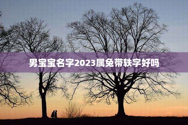 男宝宝名字2023属兔带轶字好吗