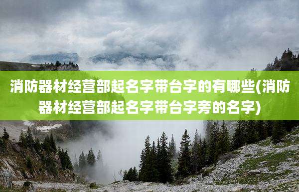 消防器材经营部起名字带台字的有哪些(消防器材经营部起名字带台字旁的名字)
