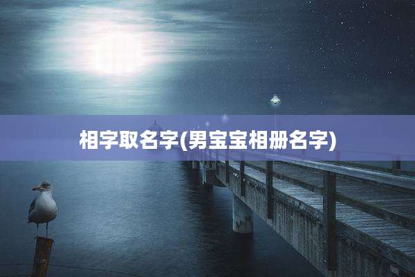 相字取名字(男宝宝相册名字)
