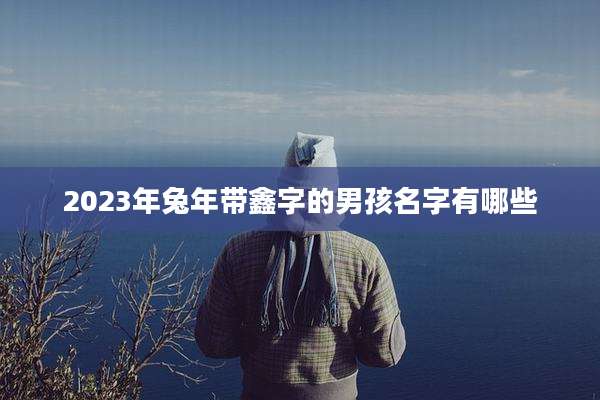 2023年兔年带鑫字的男孩名字有哪些