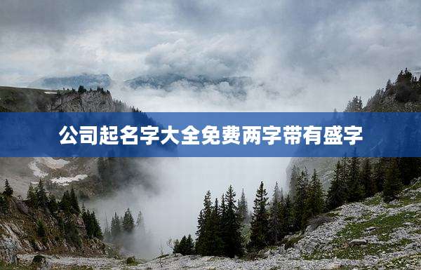 公司起名字大全免费两字带有盛字