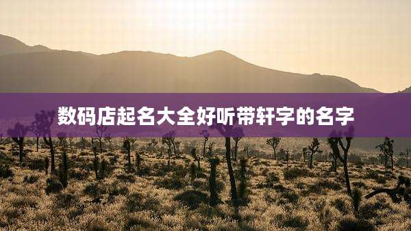 数码店起名大全好听带轩字的名字