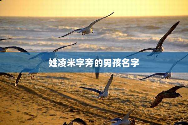 姓凌米字旁的男孩名字