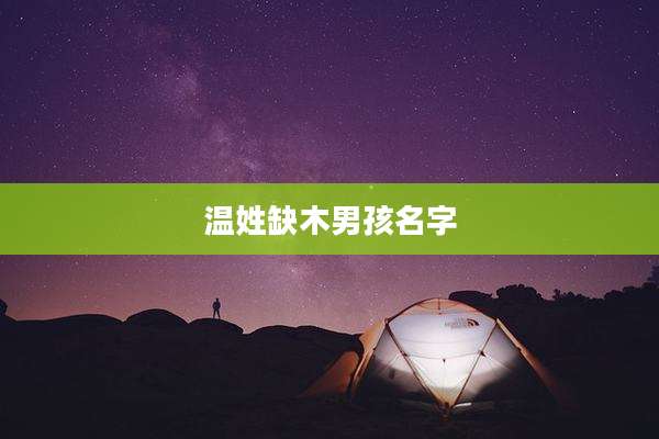 温姓缺木男孩名字