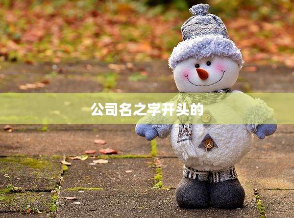 公司名之字开头的