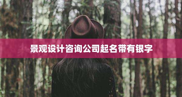 景观设计咨询公司起名带有银字