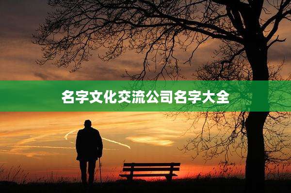 名字文化交流公司名字大全