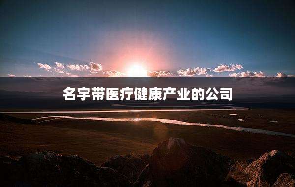 名字带医疗健康产业的公司