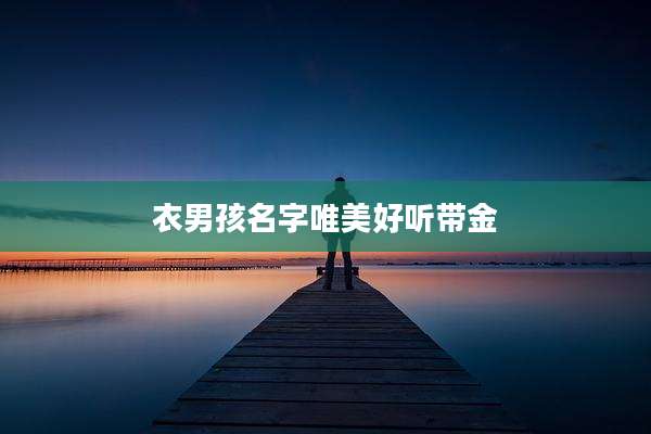 衣男孩名字唯美好听带金