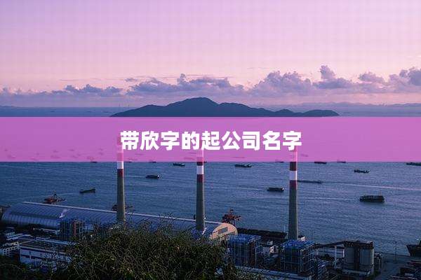 带欣字的起公司名字