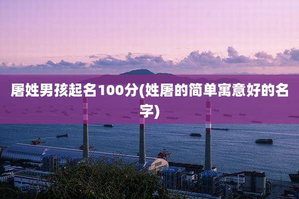 屠姓男孩起名100分(姓屠的简单寓意好的名字)