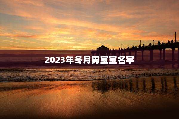 2023年冬月男宝宝名字
