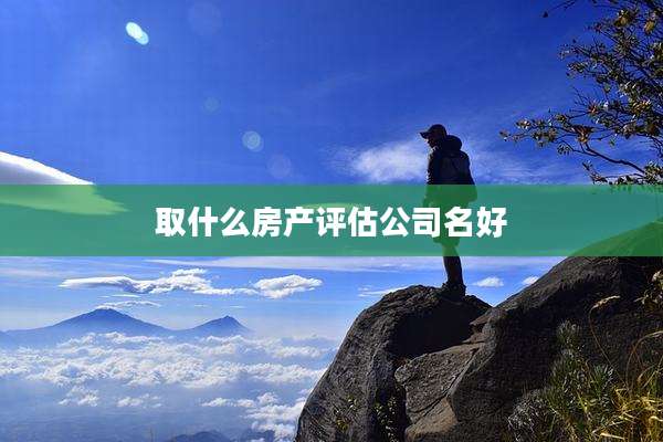 取什么房产评估公司名好
