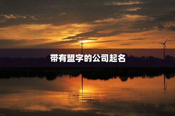 带有盟字的公司起名