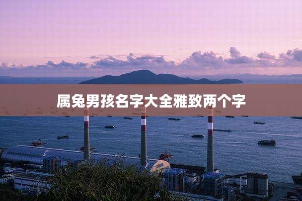 属兔男孩名字大全雅致两个字